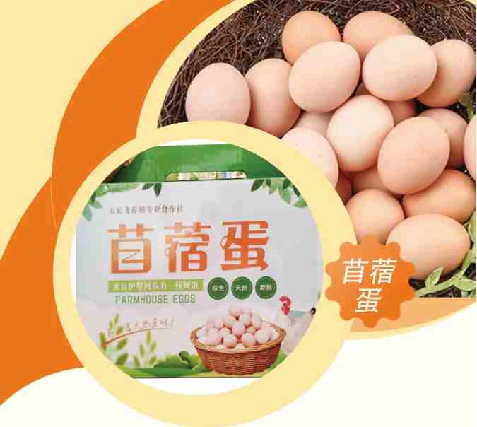 【家乡好超市】新品推荐|散养的鸡，生营养健康的蛋